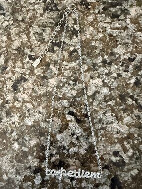 "Carpe Diem" Silver Script Necklace - Women Jewelry